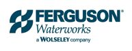 Diy Ferguson Waterworks