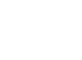 Logo 6