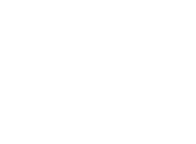Logo 8