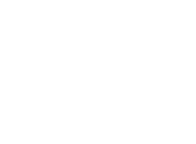 Logo 11