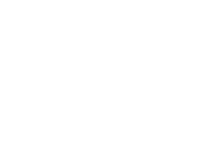 Logo 12