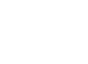 Logo 13