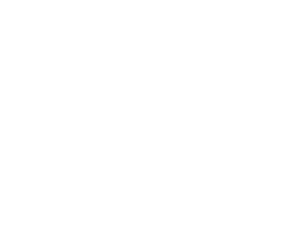 Logo 16