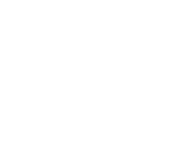 Logo 17